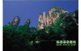網(wǎng)絡(luò)熱門純玩游：張家界、天子山、袁家界、楊家界 自助三日游