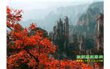 春節(jié)期間：張家界、天子山、金鞭溪自駕車精華精品游