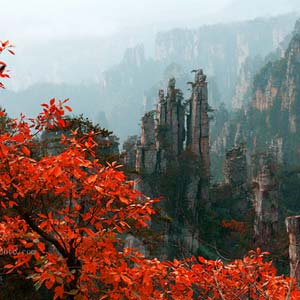 休閑自駕E線：張家界、袁家界、天子山、寶峰湖、鳳凰古城、沱江泛舟四晚五日游