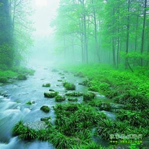 【純玩散拼尊享系列3】張家界、天子山、袁家界、黃龍洞、鳳凰三晚四日游