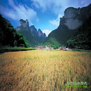 張家界往返純玩散拼：矮寨大橋、德夯苗寨、鳳凰古城、芙蓉鎮(zhèn)二日游